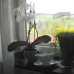 Bimesmeier