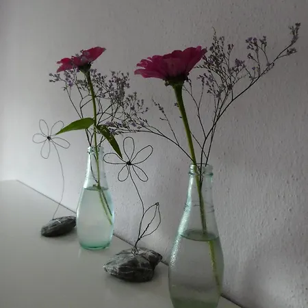 Bimesmeier Appartement Triftern